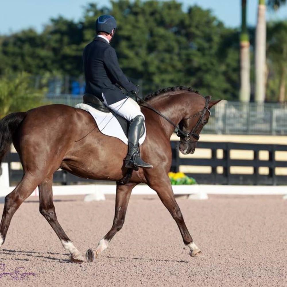 Meet your Posher, Paulo